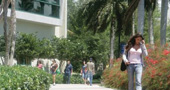 Arts and Sciences